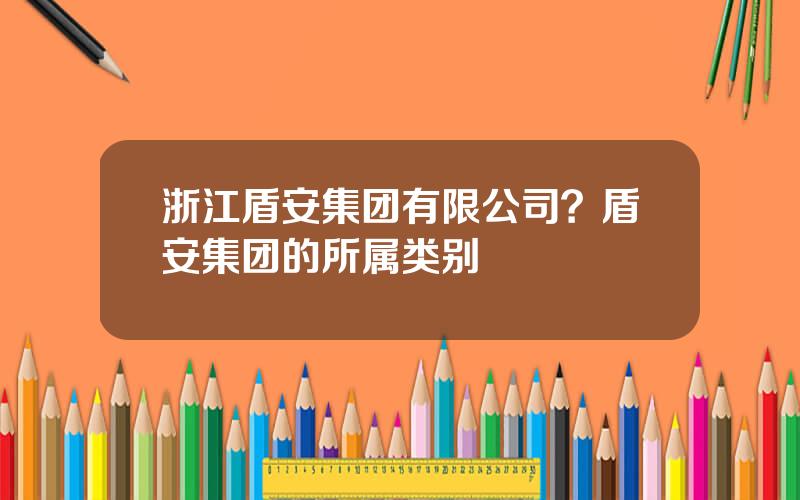 浙江盾安集团有限公司？盾安集团的所属类别