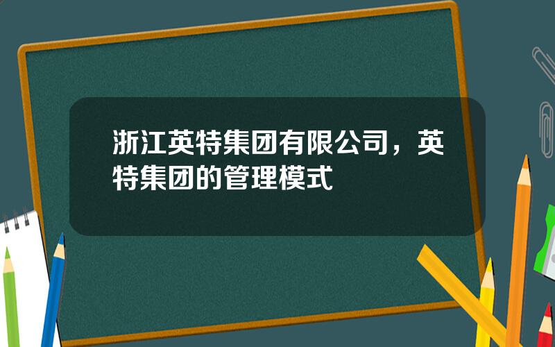 浙江英特集团有限公司，英特集团的管理模式