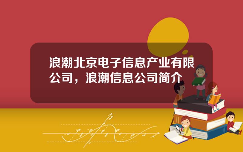 浪潮北京电子信息产业有限公司，浪潮信息公司简介