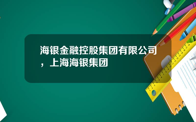 海银金融控股集团有限公司，上海海银集团