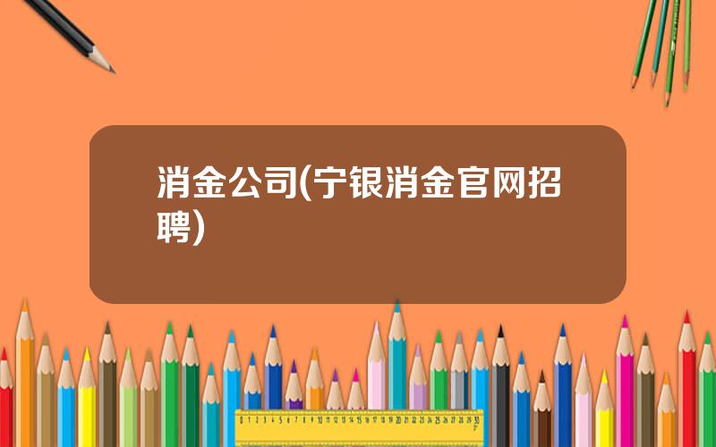 消金公司(宁银消金官网招聘)