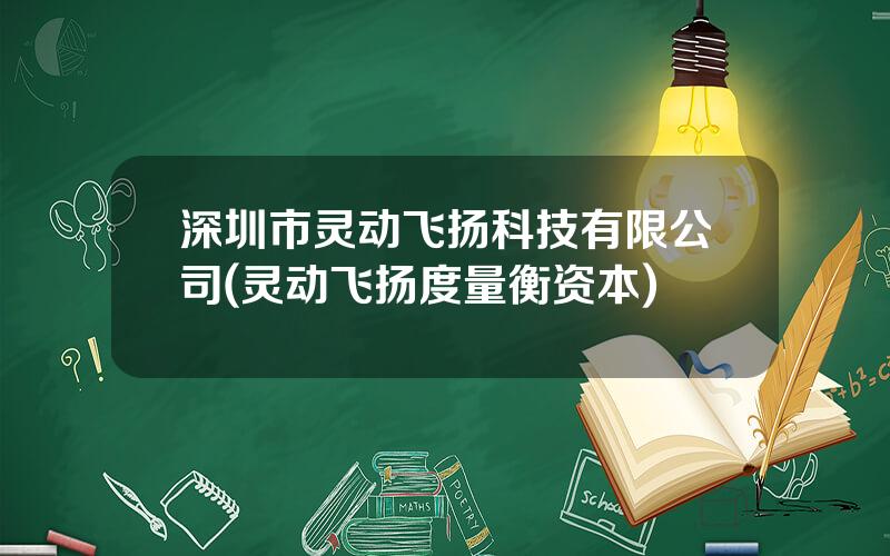 深圳市灵动飞扬科技有限公司(灵动飞扬度量衡资本)