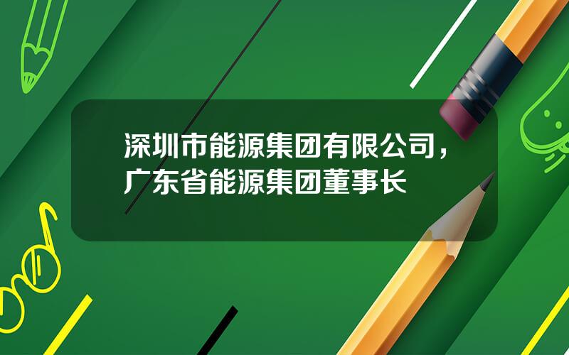 深圳市能源集团有限公司，广东省能源集团董事长