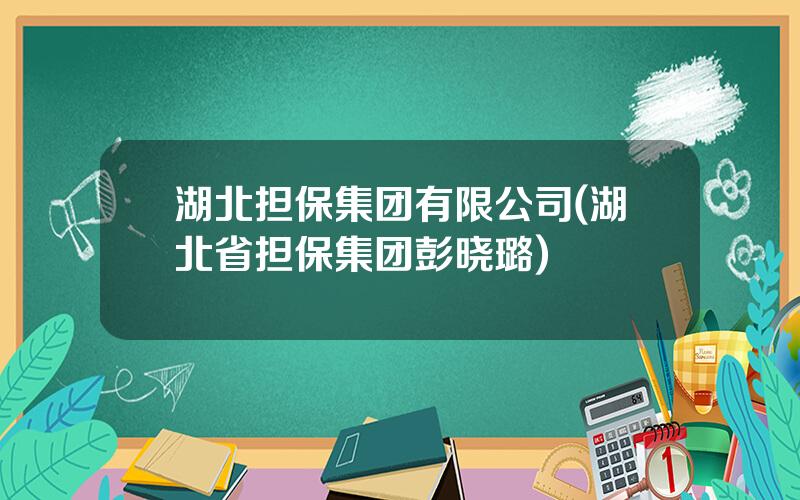 湖北担保集团有限公司(湖北省担保集团彭晓璐)