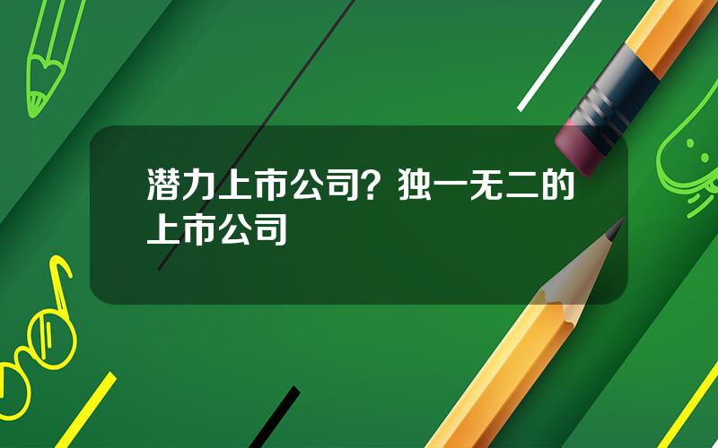 潜力上市公司？独一无二的上市公司