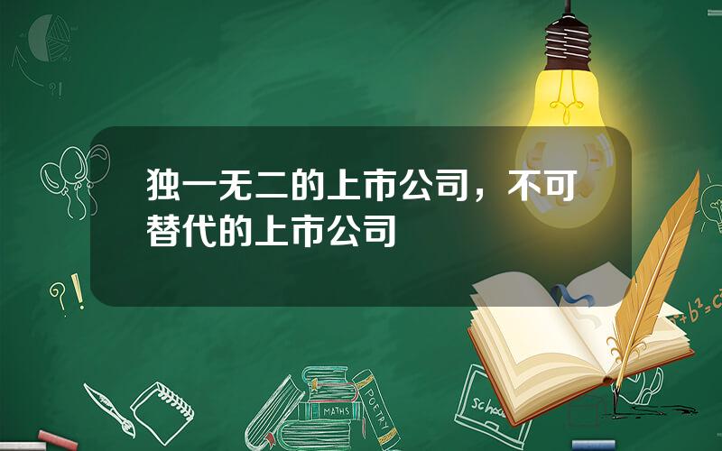 独一无二的上市公司，不可替代的上市公司