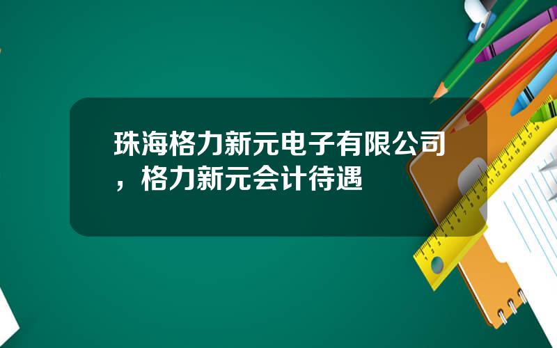 珠海格力新元电子有限公司，格力新元会计待遇