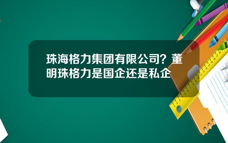 珠海格力集团有限公司？董明珠格力是国企还是私企