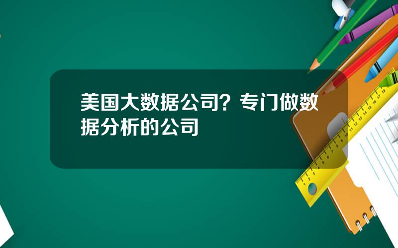 美国大数据公司？专门做数据分析的公司