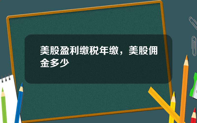 美股盈利缴税年缴，美股佣金多少