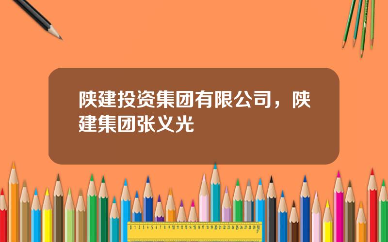 陕建投资集团有限公司，陕建集团张义光